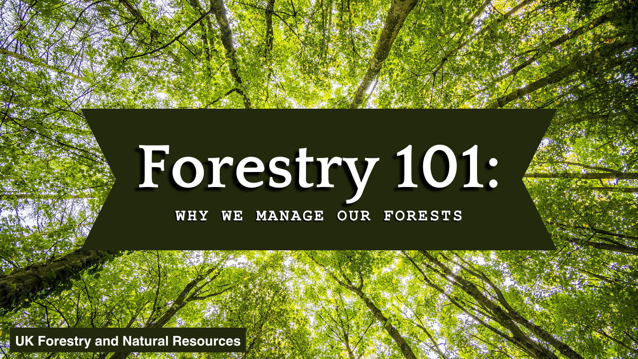 forestry101 thumbnail 1