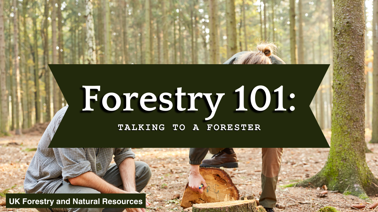 forestry101 thumbnail 3
