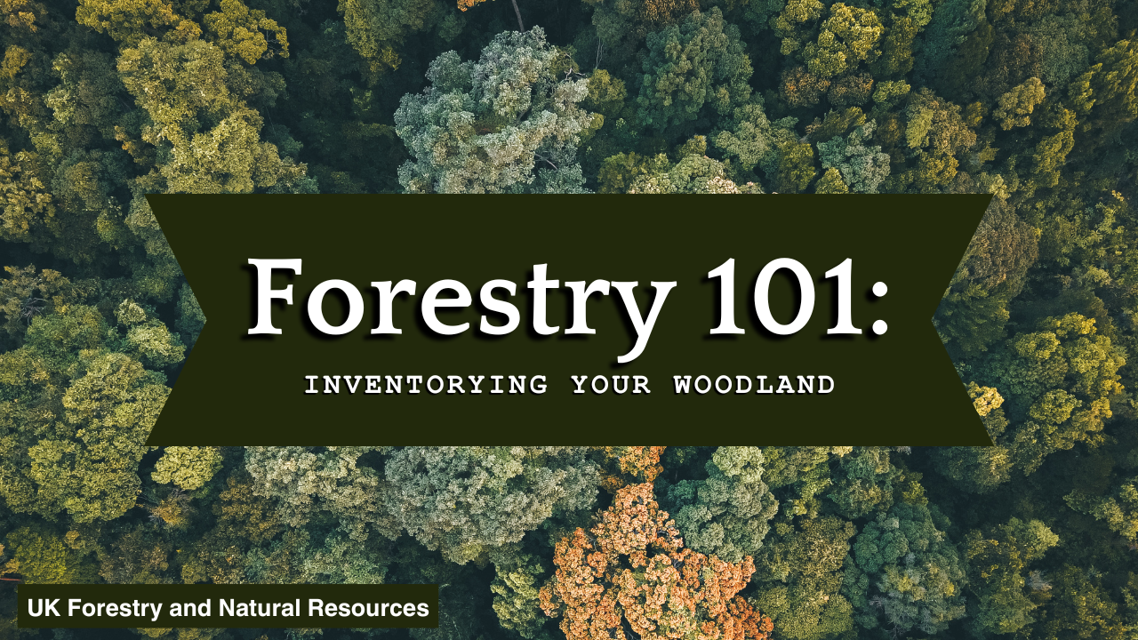 forestry101 thumbnail 4