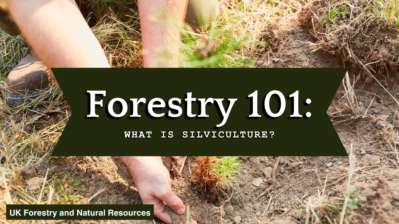 forestry101 thumbnail 6