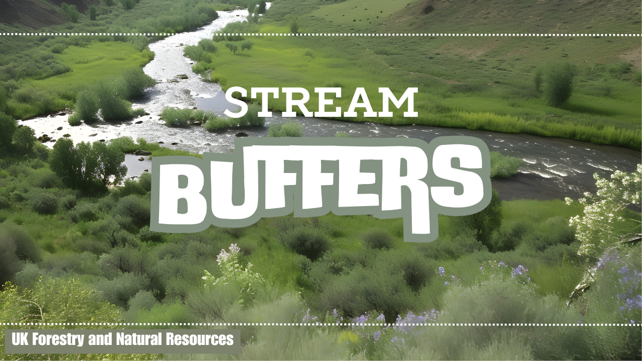 Youtube water content thumbnail